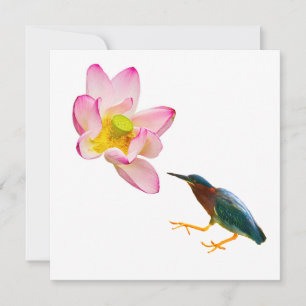 A water lotus and a heron