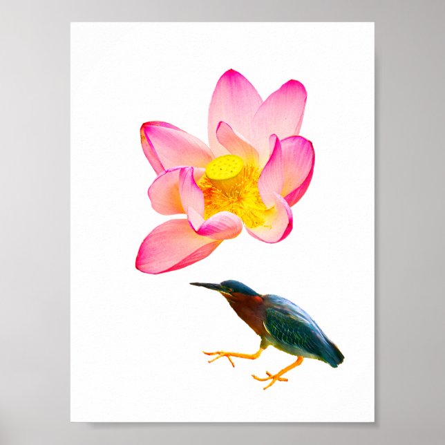 A water lotus and a heron poster (Front)
