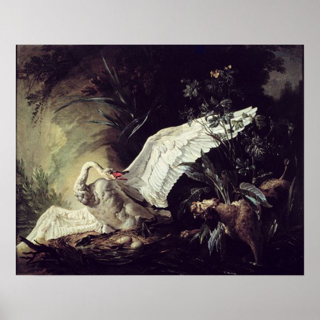 A Water Spaniel Poster (Front)