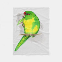 A watercolor of a Red-crowned parakeet