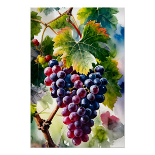 A Watercolor Painting of Growing Grapes Graphic Ar Poster