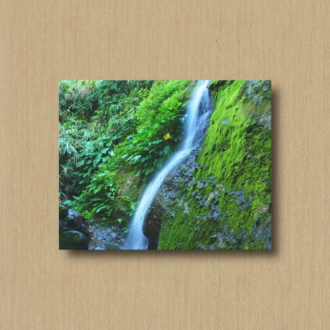 A Waterfall in the Wilderness Canvas Print (Creator Uploaded)