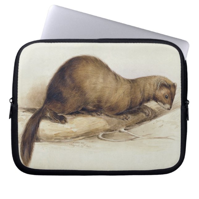 A Weasel, 1832 (w/c, pen, ink, gouache and gum ove Laptop Sleeve (Front)