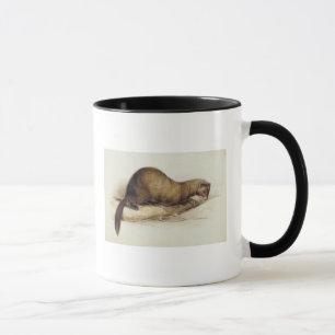 A Weasel, 1832 (w/c, pen, ink, gouache and gum ove Mug