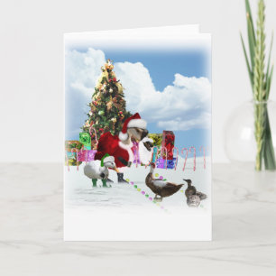 A Web Footed Christmas Holiday Card