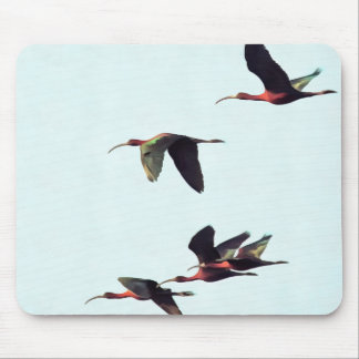A Wedge of Ibises In Flight Mouse Mat
