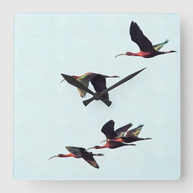 A Wedge of Ibises In Flight Square Wall Clock (Front)