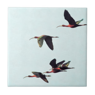A Wedge of Ibises In Flight Tile