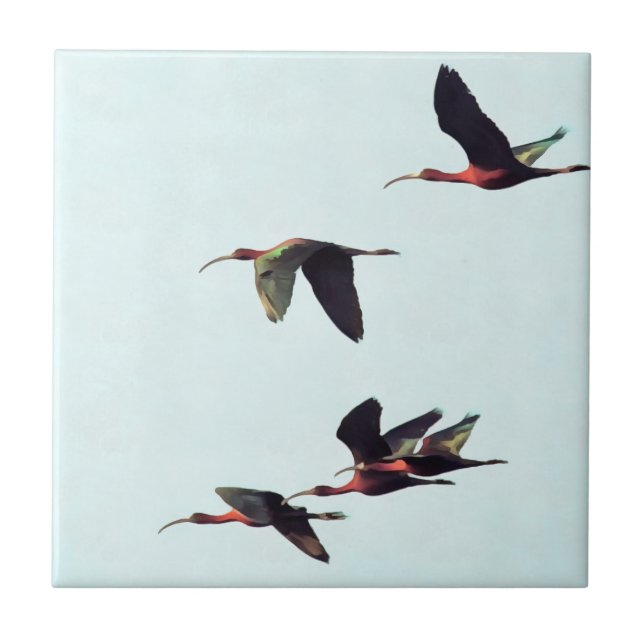 A Wedge of Ibises In Flight Tile (Front)
