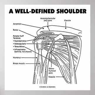 A Well-Defined Shoulder (Anatomical Humour) Poster