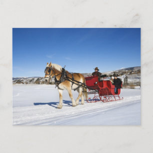 A Western Christmas - Horse Christmas Sleigh Holiday Postcard