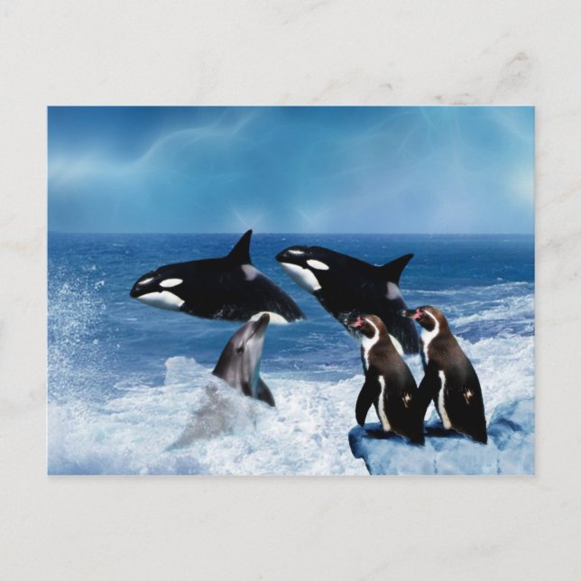 A whale of a world postcard (Front)