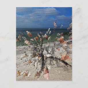 A Whisper is Sacred Postcard