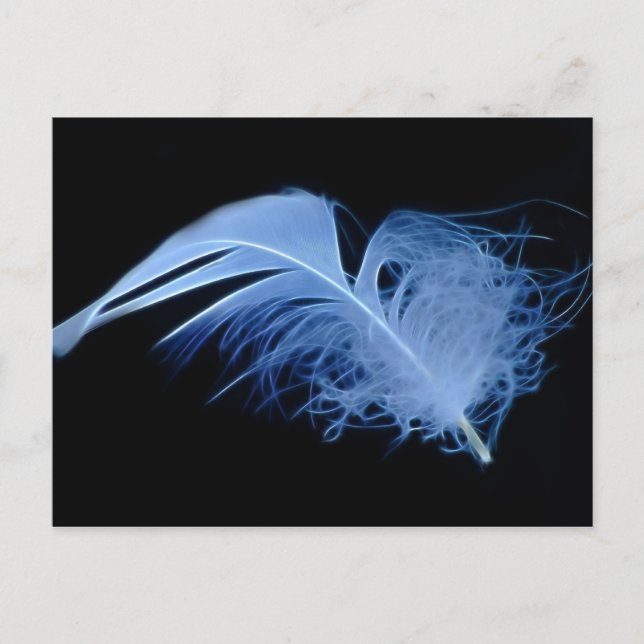 A whisper of a feather postcard (Front)