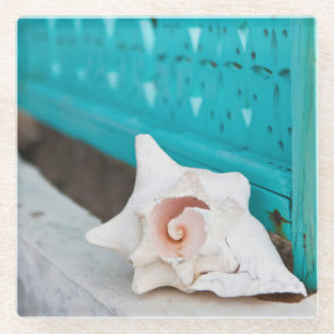 A White And Pink Jamaican Sea Shell Sits Alone Glass Coaster