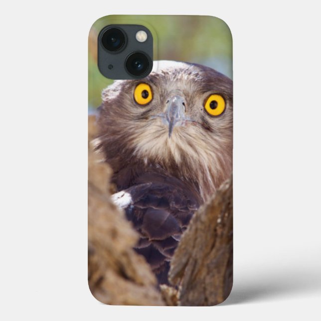 A White-breasted Snake Eagle Case-Mate iPhone Case (Back)