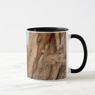 A White-breasted Snake Eagle Mug