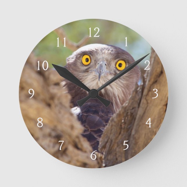 A White-breasted Snake Eagle Round Clock (Front)
