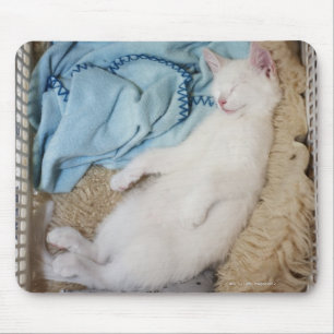 A white cat sleeping in a laundry basket, mouse mat