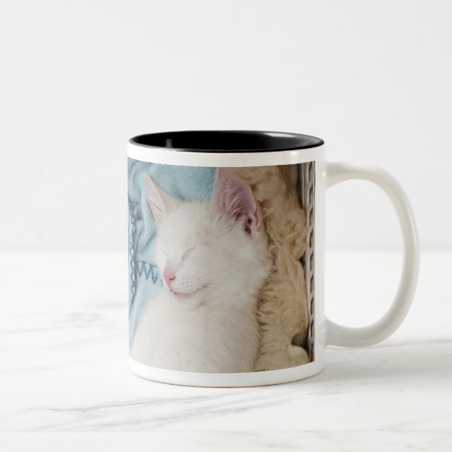 A white cat sleeping in a laundry basket, Two-Tone coffee mug (Right)