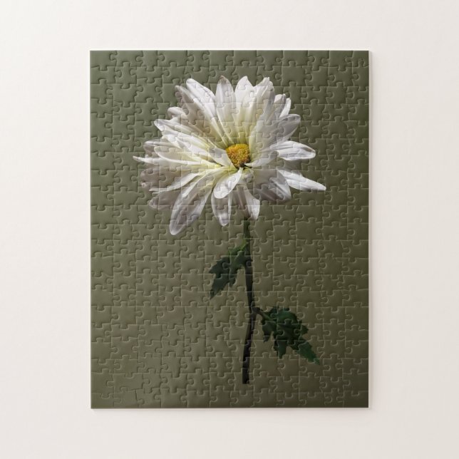 A White Daisy Jigsaw Puzzle (Vertical)