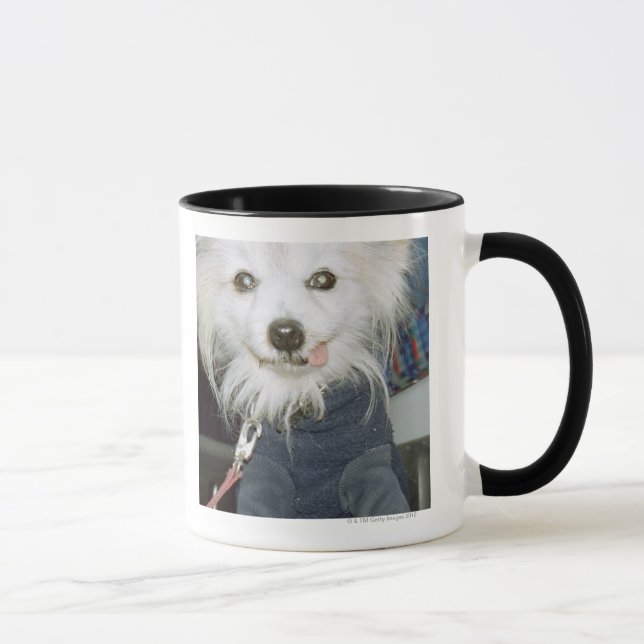 A white dog wearing clothes. mug (Right)