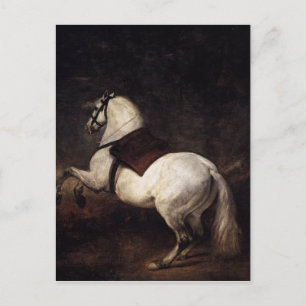 A White Horse by Diego Velazquez Postcard