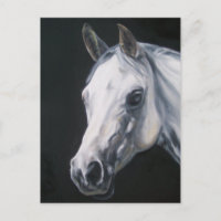 A White Horse
