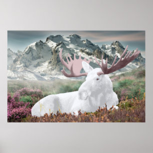 A White Moose in the Montain Poster