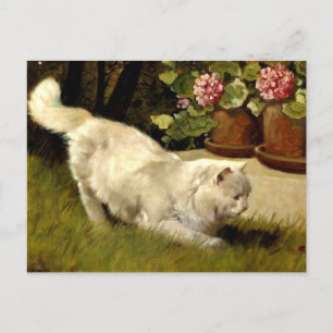 A White Persian Cat Watching a Ladybug Postcard