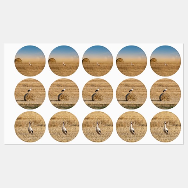 A white stork  (Sheet)