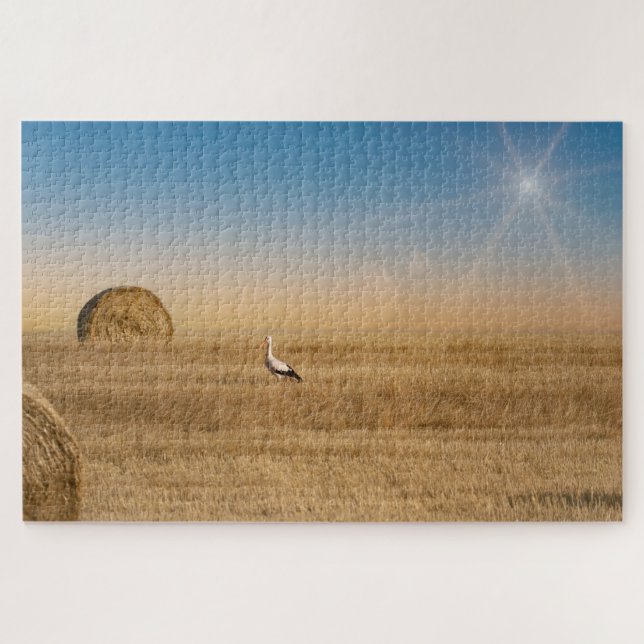 A white stork  jigsaw puzzle (Horizontal)