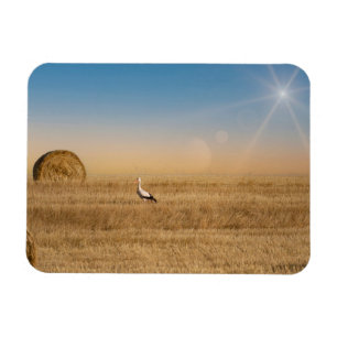 A white stork  magnet