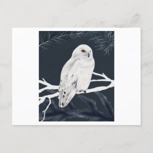 A white winter owl perches on a branch postcard