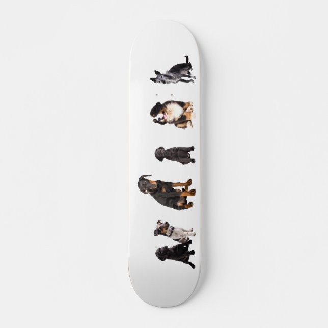 a whole lot of dogs skateboard (Front)
