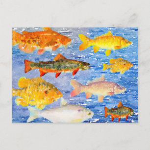 A Whole Lot of Fish in the Sea Postcard