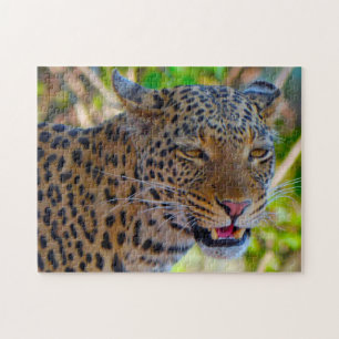 A Wild African Leopard. Jigsaw Puzzle