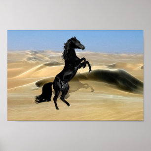 A wild rearing black stallion poster