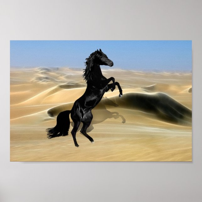A wild rearing black stallion poster (Front)
