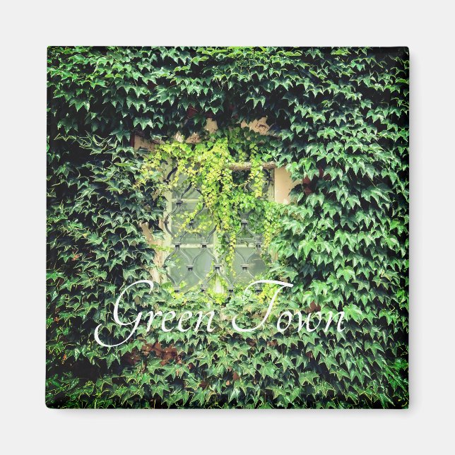 A window in green plants Case-Mate iPhone case Cla Magnet (Front)