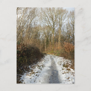 A winter path at Arnside Postcard