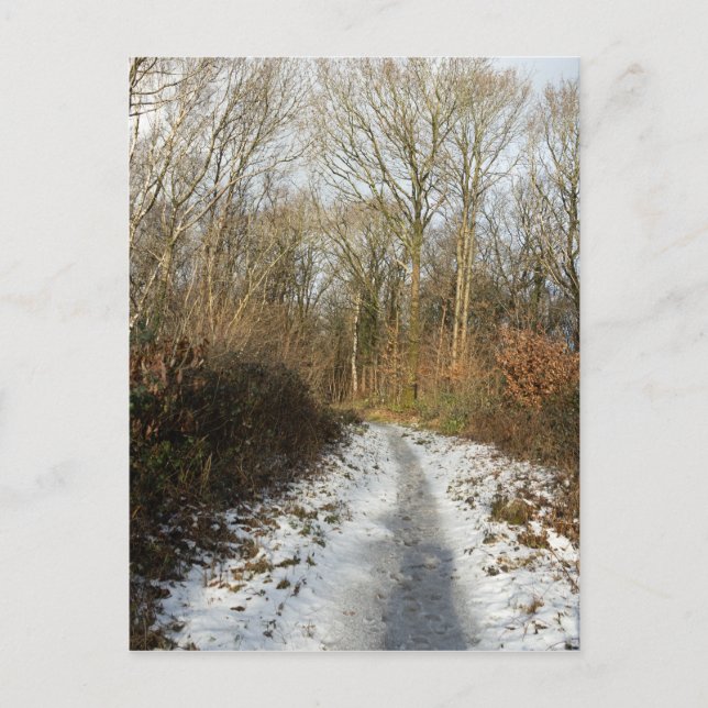 A winter path at Arnside Postcard (Front)