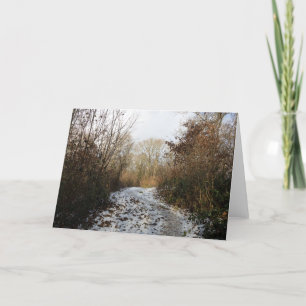 A winter path At Arnside Thank You Card
