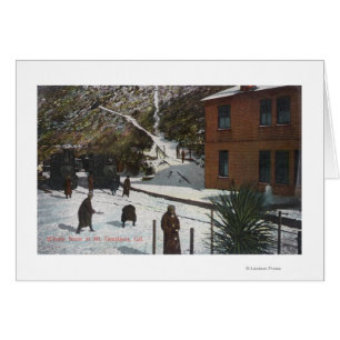 A Winter Scene, Adults Playing in Snow