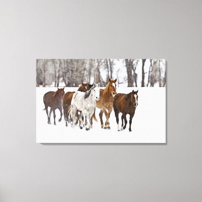 A winter scenic of running canvas print (Front)