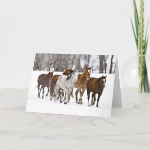 A Winter Scenic of Running Horses Card