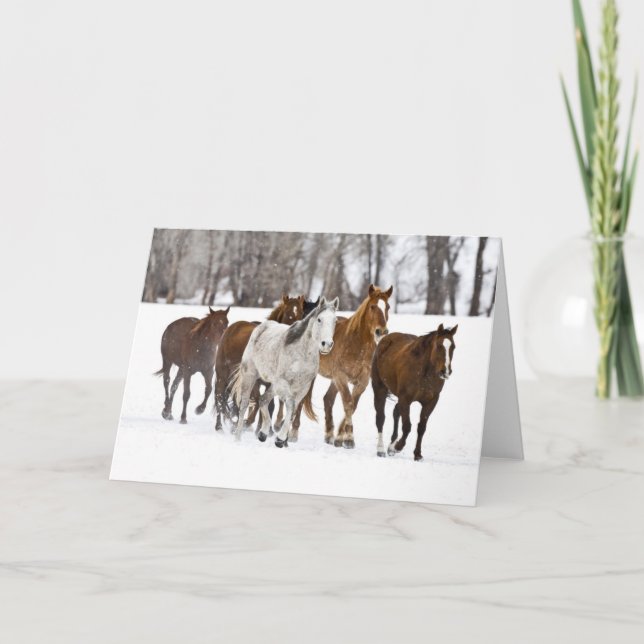 A Winter Scenic of Running Horses Card (Front)