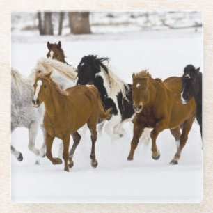 A winter scenic of running horses glass coaster