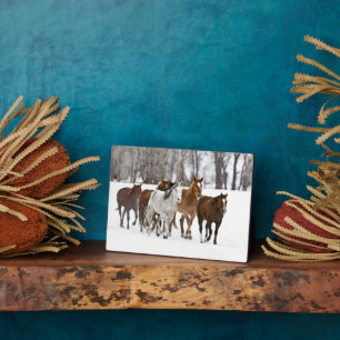 A Winter Scenic of Running Horses Plaque
