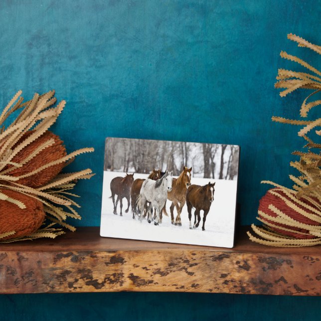 A Winter Scenic of Running Horses Plaque (Side)